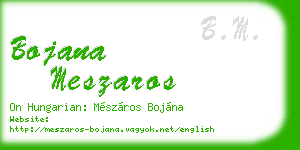 bojana meszaros business card
